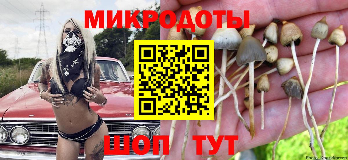 Галлюциногенные грибы мухоморы  купить наркотики цена  Нерюнгри  Вход с VPN 