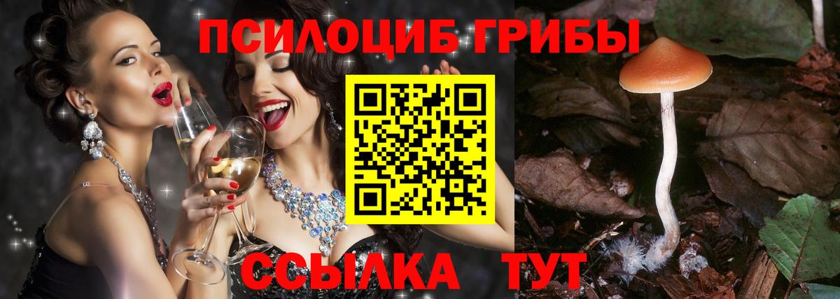 Галлюциногенные грибы Magic Shrooms Нерюнгри